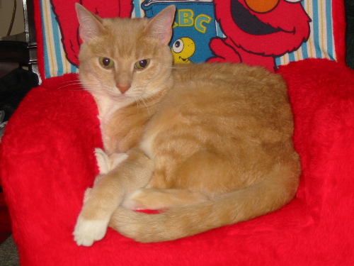 betty_elmochair.jpg