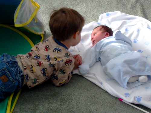 bros