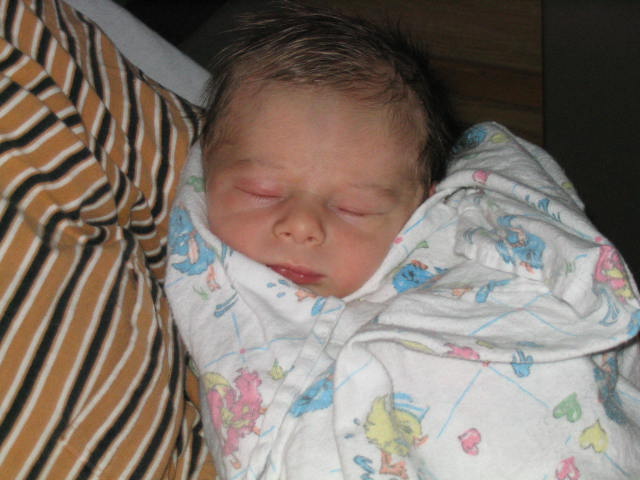 seb is coming home!