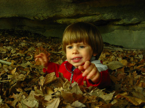 leafy